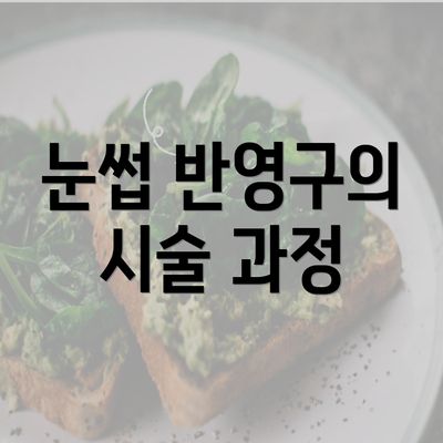 눈썹 반영구의 시술 과정