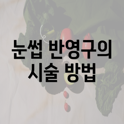 눈썹 반영구의 시술 방법