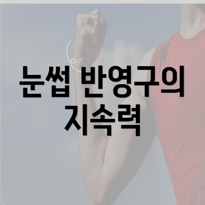 눈썹 반영구의 지속력