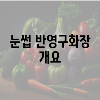 눈썹 반영구화장 개요