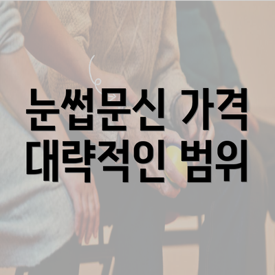 눈썹문신 가격 대략적인 범위