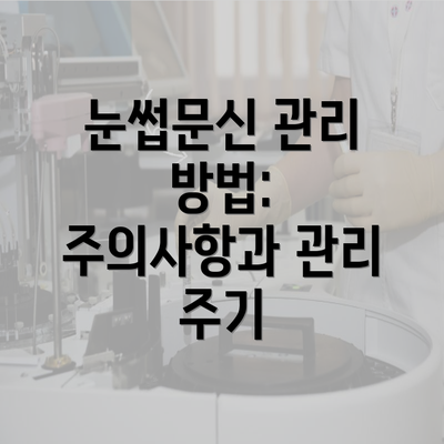 눈썹문신 관리 방법: 주의사항과 관리 주기