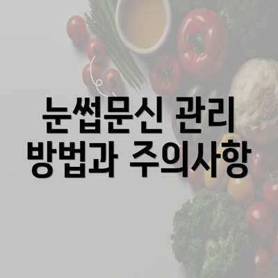 눈썹문신 관리 방법과 주의사항