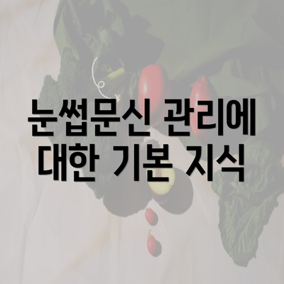 눈썹문신 관리에 대한 기본 지식