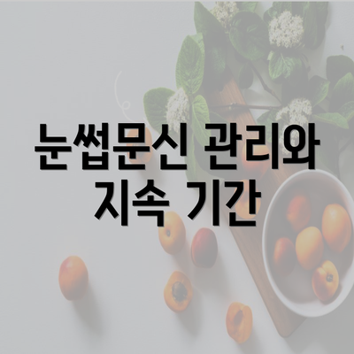 눈썹문신 관리와 지속 기간