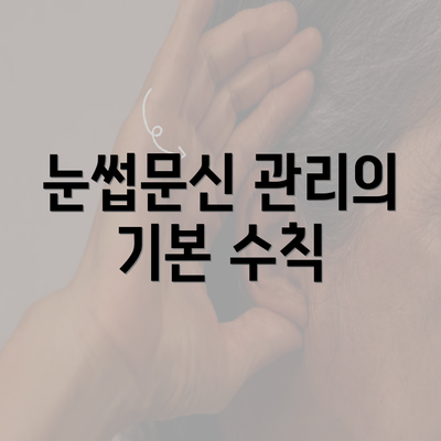 눈썹문신 관리의 기본 수칙