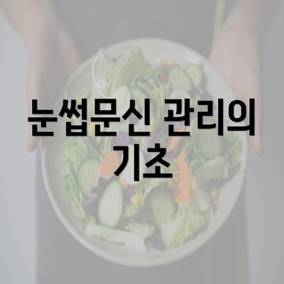 눈썹문신 관리의 기초