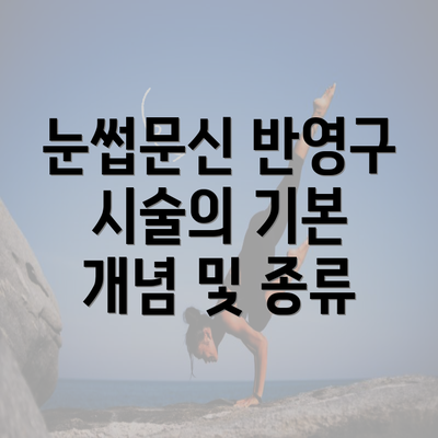 눈썹문신 반영구 시술의 기본 개념 및 종류