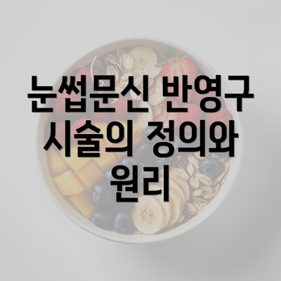 눈썹문신 반영구 시술의 정의와 원리