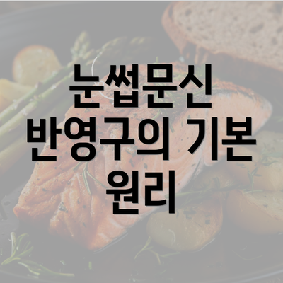 눈썹문신 반영구의 기본 원리