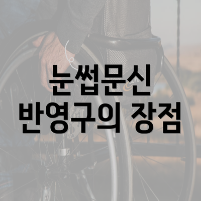 눈썹문신 반영구의 장점