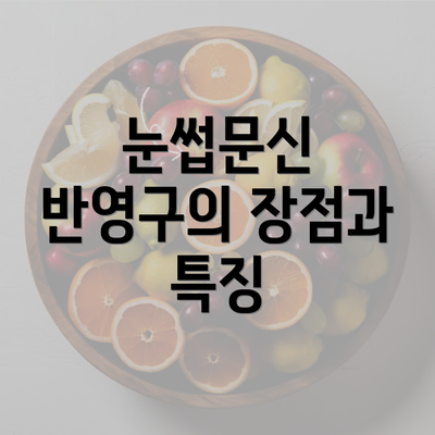 눈썹문신 반영구의 장점과 특징