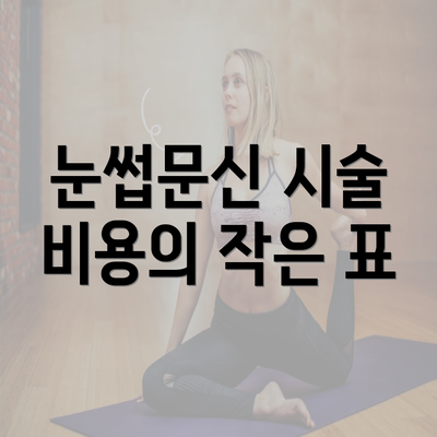 눈썹문신 시술 비용의 작은 표