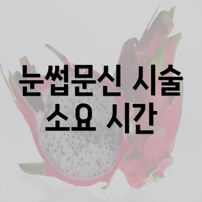 눈썹문신 시술 소요 시간