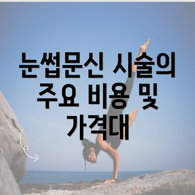 눈썹문신 시술의 주요 비용 및 가격대