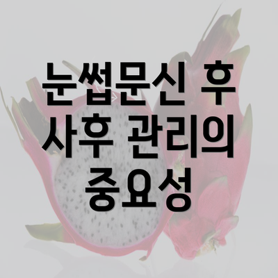 눈썹문신 후 사후 관리의 중요성