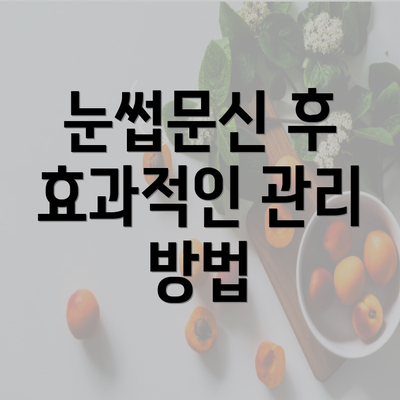 눈썹문신 후 효과적인 관리 방법