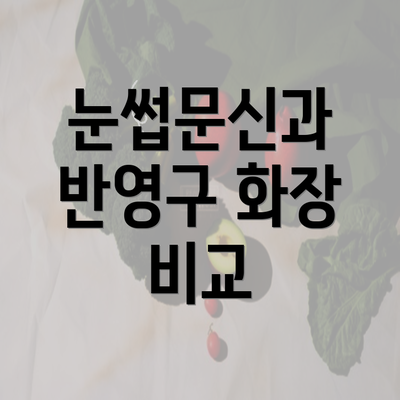 눈썹문신과 반영구 화장 비교