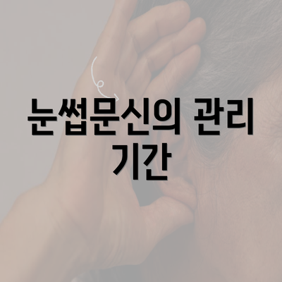 눈썹문신의 관리 기간