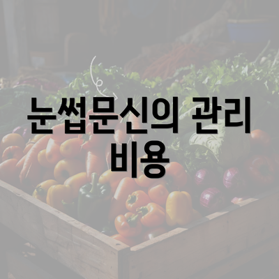 눈썹문신의 관리 비용