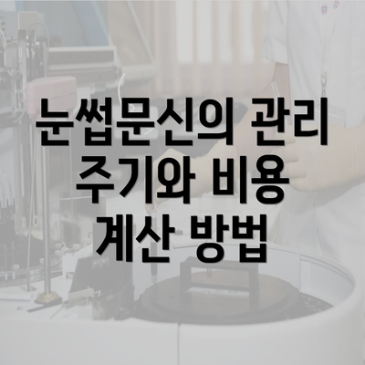 눈썹문신의 관리 주기와 비용 계산 방법