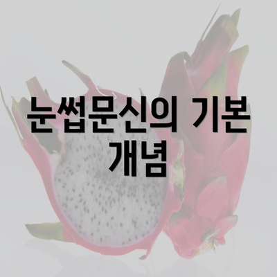 눈썹문신의 기본 개념