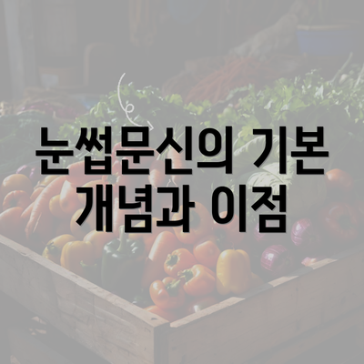 눈썹문신의 기본 개념과 이점