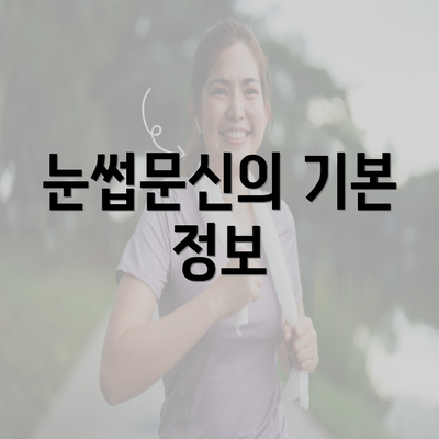 눈썹문신의 기본 정보