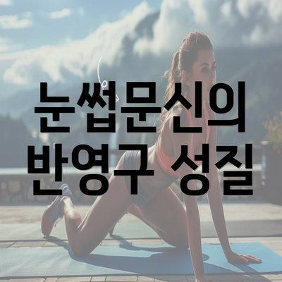 눈썹문신의 반영구 성질