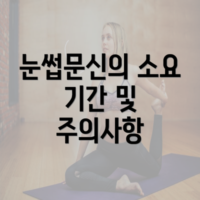 눈썹문신의 소요 기간 및 주의사항