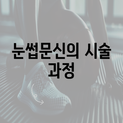 눈썹문신의 시술 과정