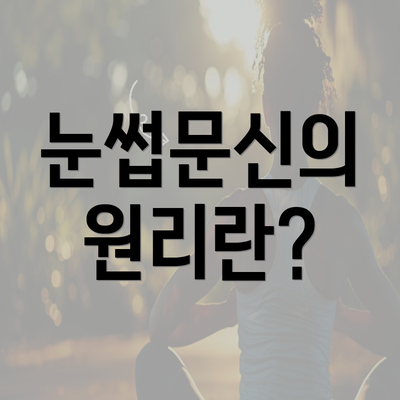 눈썹문신의 원리란?