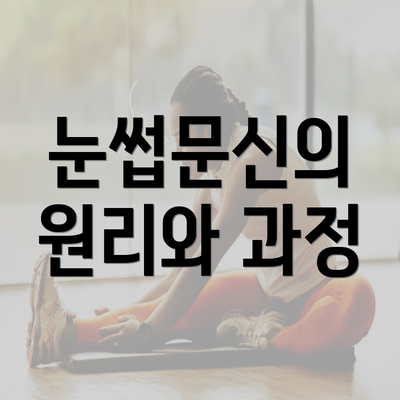 눈썹문신의 원리와 과정