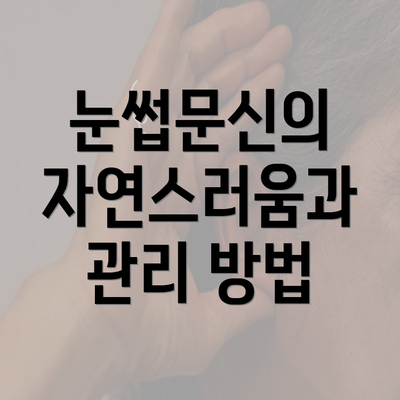 눈썹문신의 자연스러움과 관리 방법