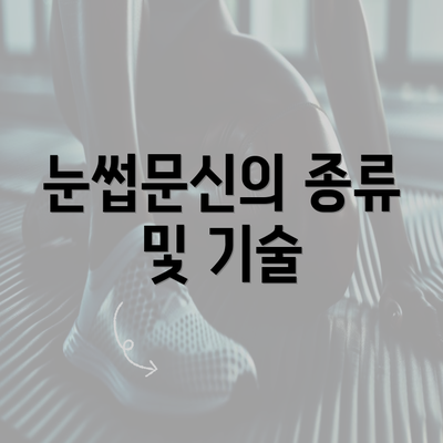 눈썹문신의 종류 및 기술