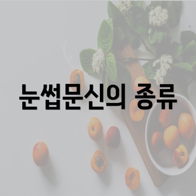 눈썹문신의 종류