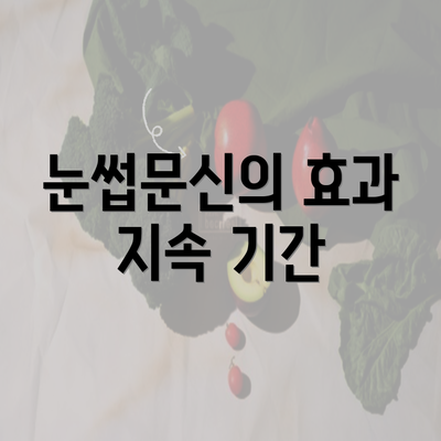 눈썹문신의 효과 지속 기간