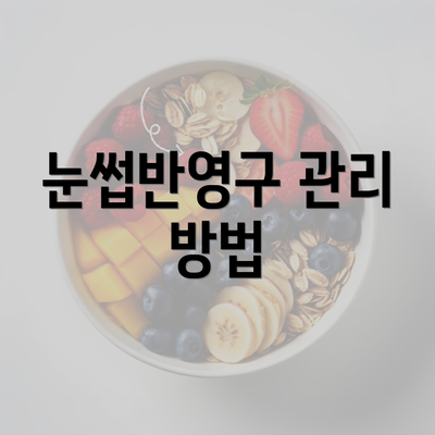 눈썹반영구 관리 방법