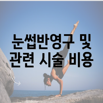 눈썹반영구 및 관련 시술 비용