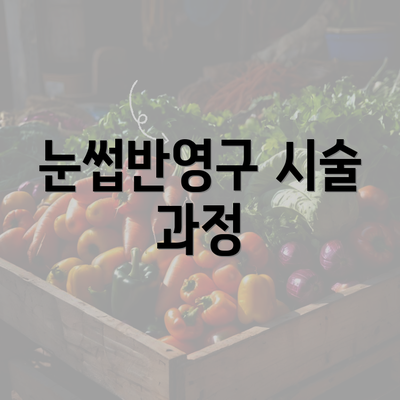 눈썹반영구 시술 과정