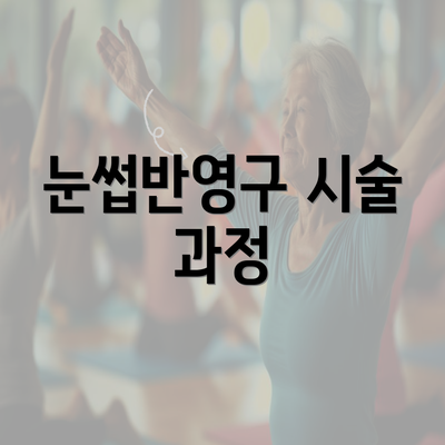 눈썹반영구 시술 과정