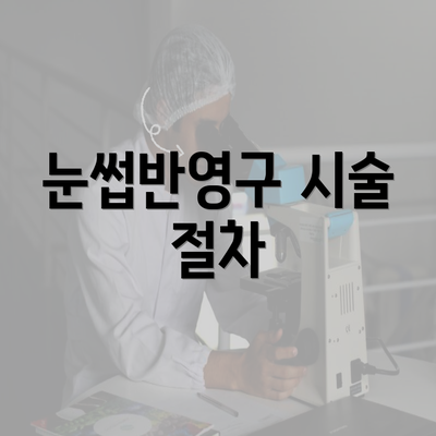 눈썹반영구 시술 절차