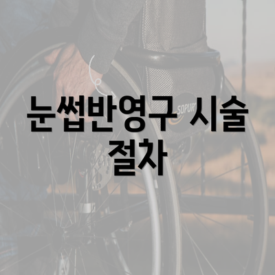 눈썹반영구 시술 절차