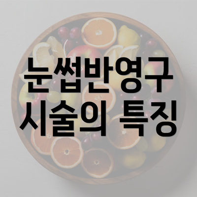 눈썹반영구 시술의 특징