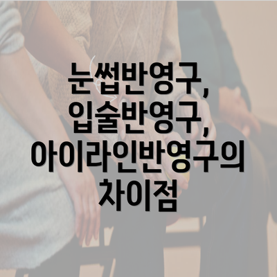 눈썹반영구, 입술반영구, 아이라인반영구의 차이점