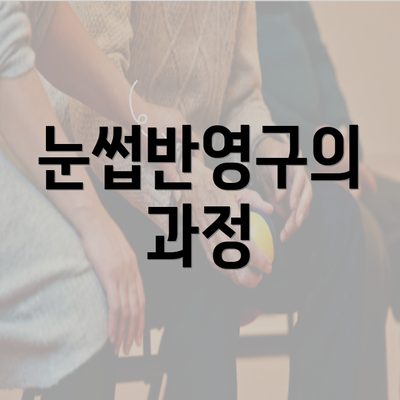 눈썹반영구의 과정