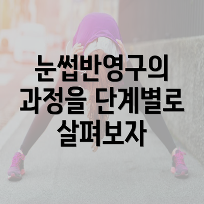 눈썹반영구의 과정을 단계별로 살펴보자