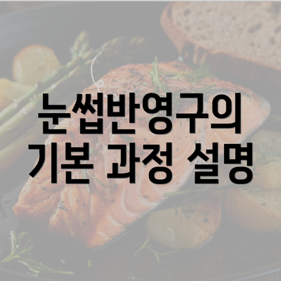 눈썹반영구의 기본 과정 설명