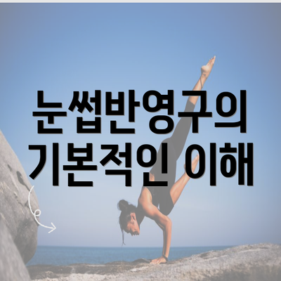 눈썹반영구의 기본적인 이해