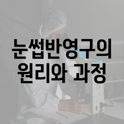 눈썹반영구의 원리와 과정